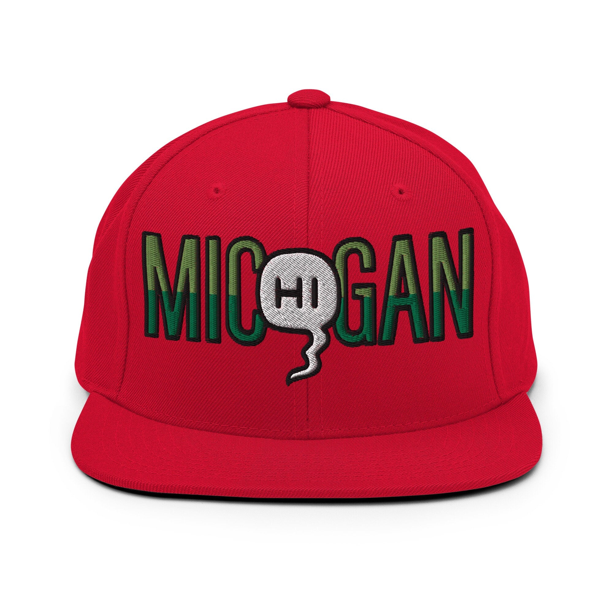 Mic(Hi)gan Embroidered Snapback Hat