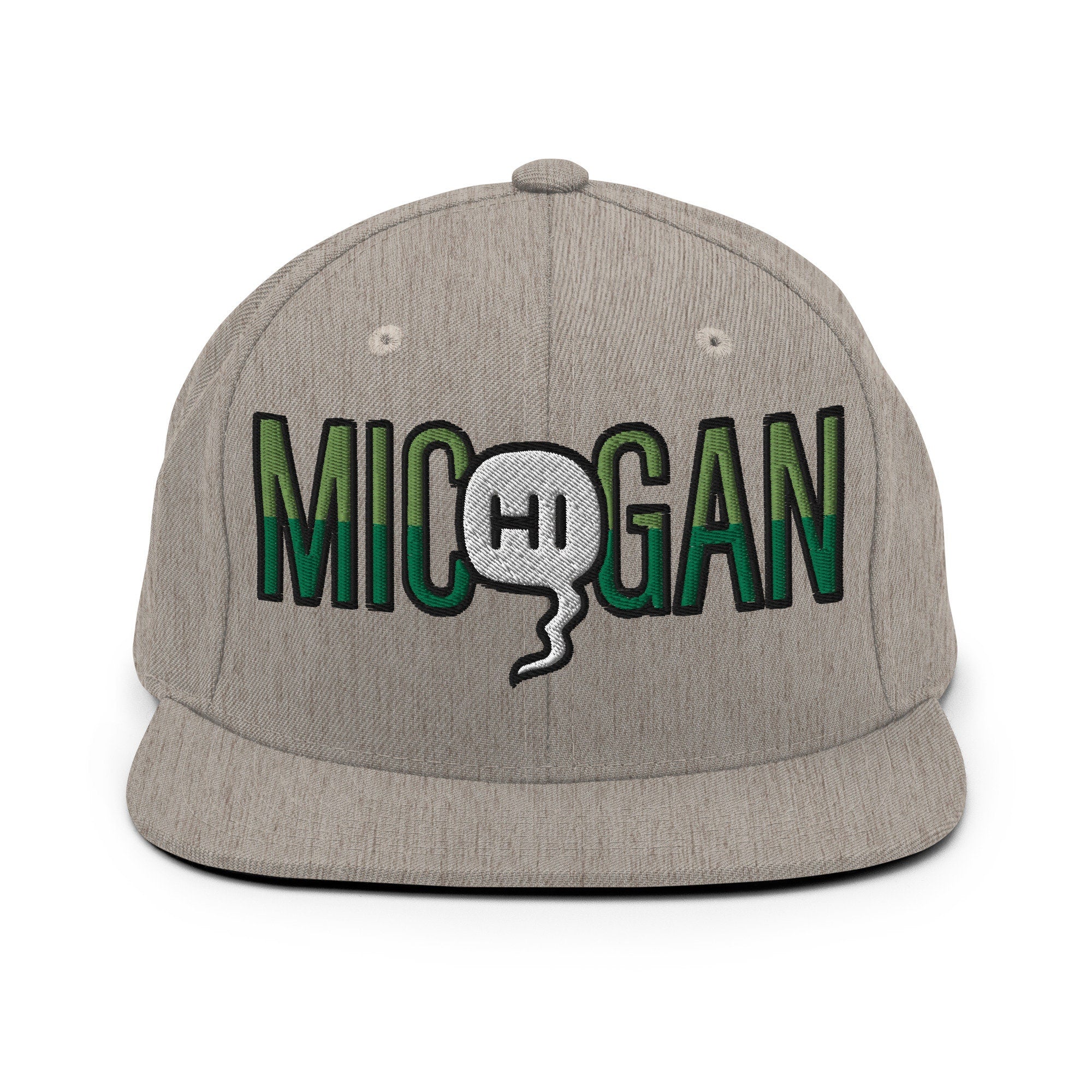 Mic(Hi)gan Embroidered Snapback Hat