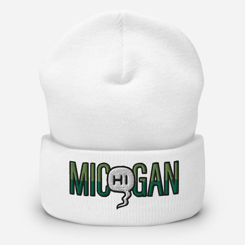 Mic(Hi)gan Embroidered Beanie