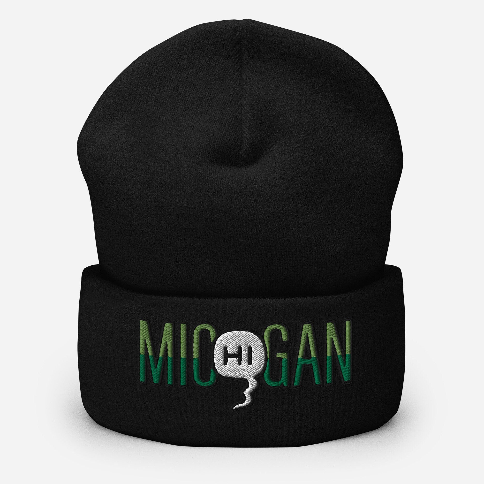 Mic(Hi)gan Embroidered Beanie