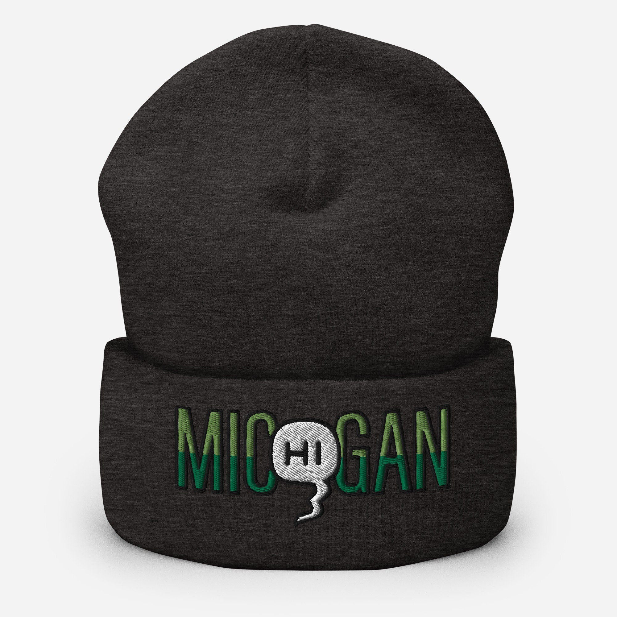 Mic(Hi)gan Embroidered Beanie