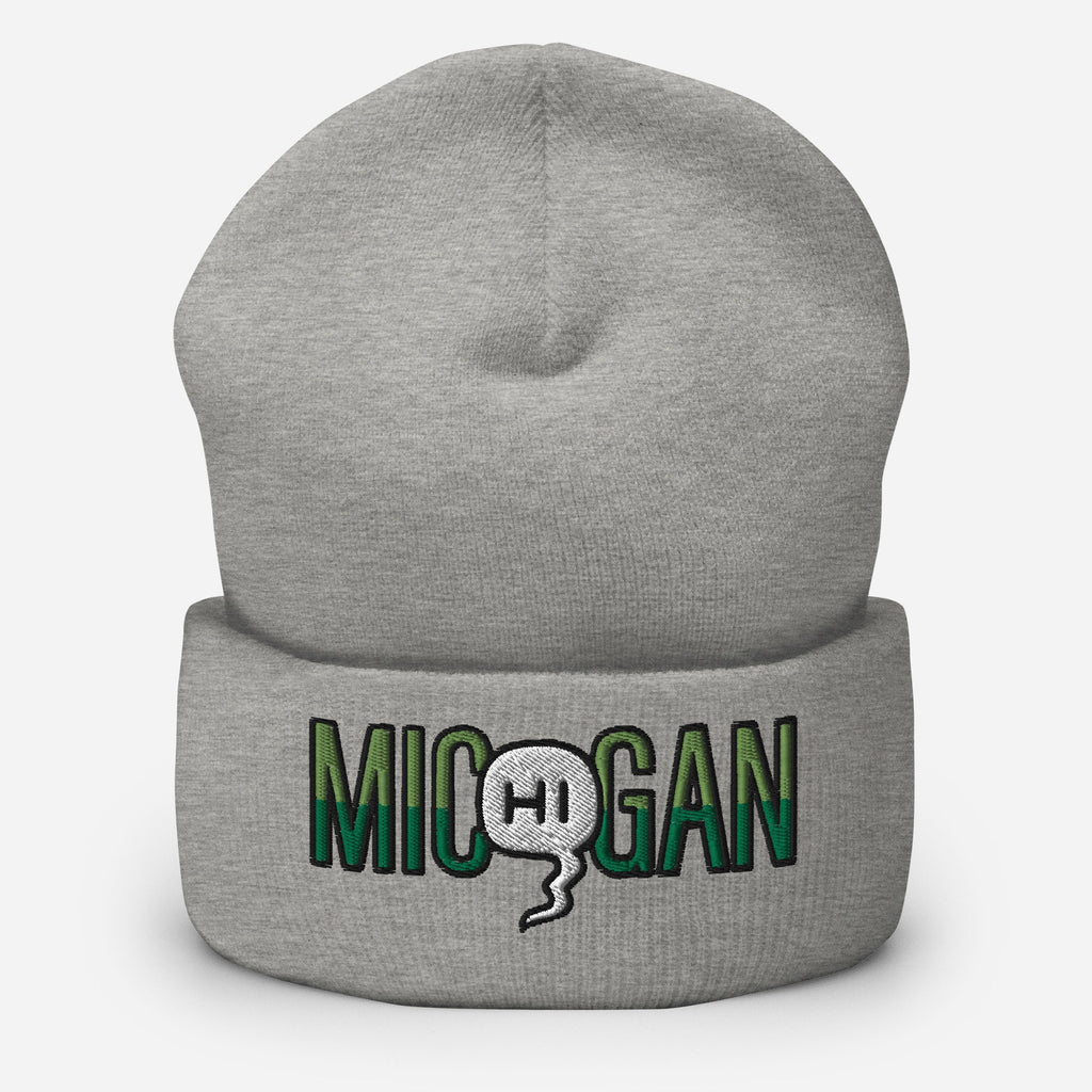 Mic(Hi)gan Embroidered Beanie