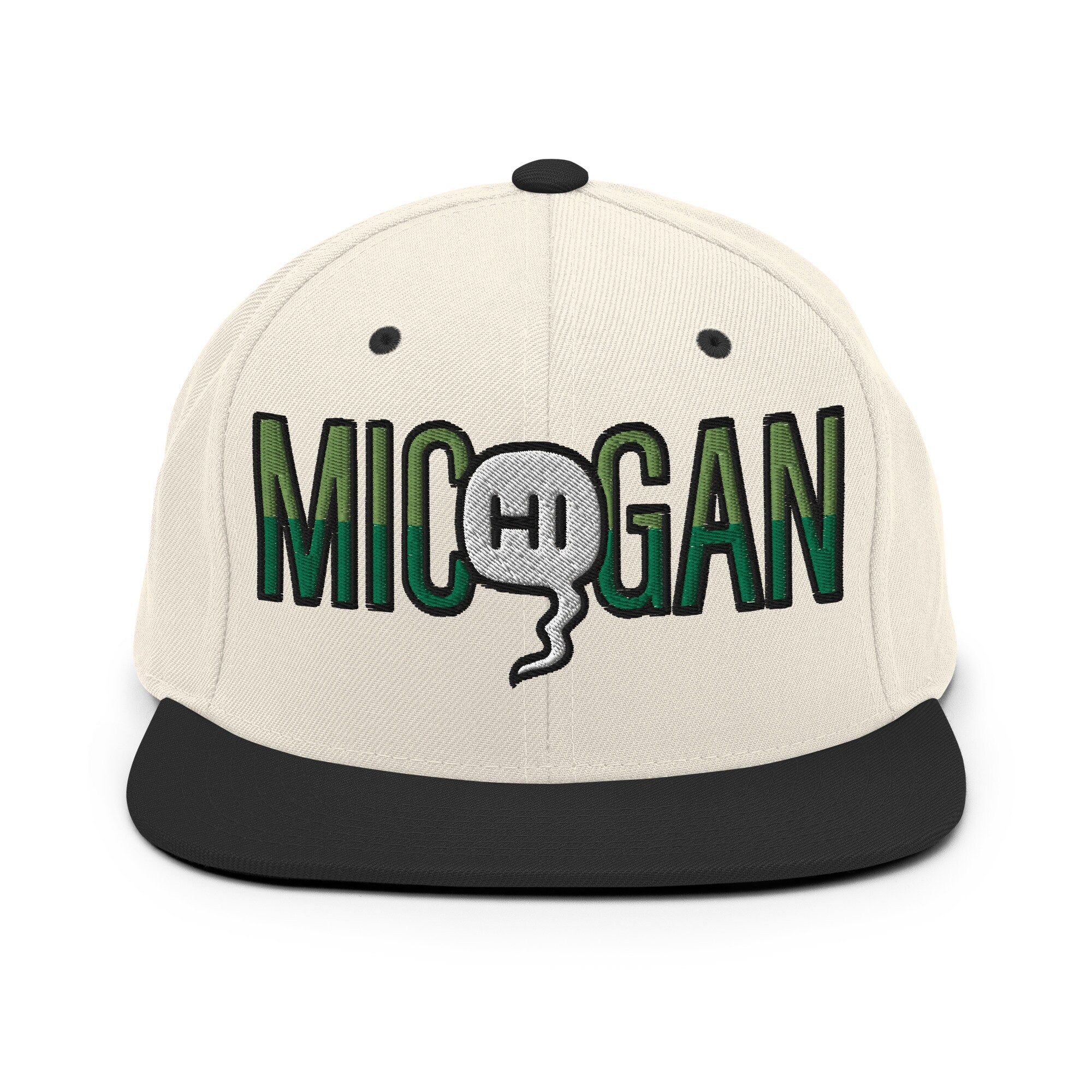 Mic(Hi)gan Embroidered Snapback Hat