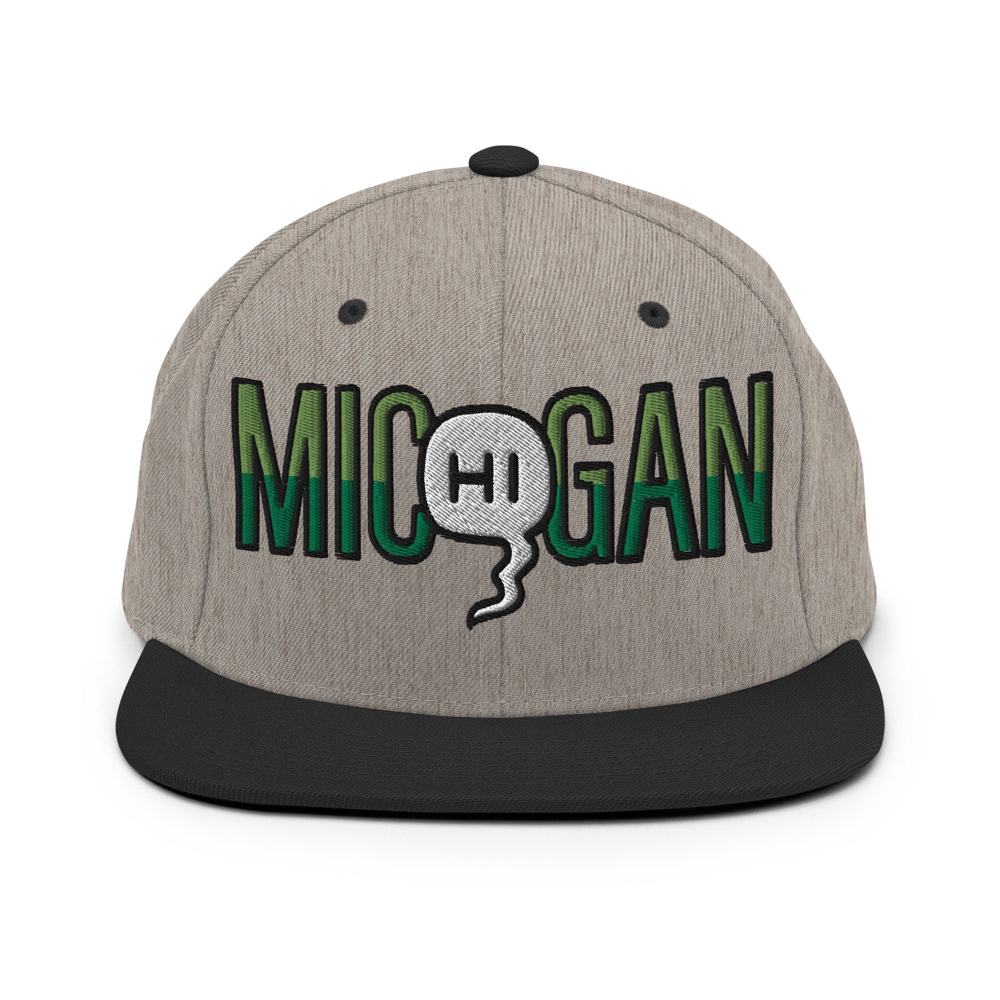 Mic(Hi)gan Embroidered Snapback Hat